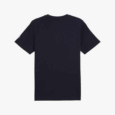 Puma Polo Manchester City King Logo