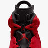 Air Jordan 6 Retro