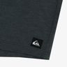 Quiksilver Short Essential