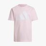 adidas Essentials