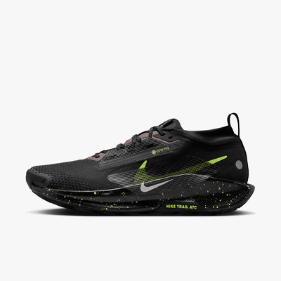 Nike Zapatos Pegasus Trail 5 Gore-Tex