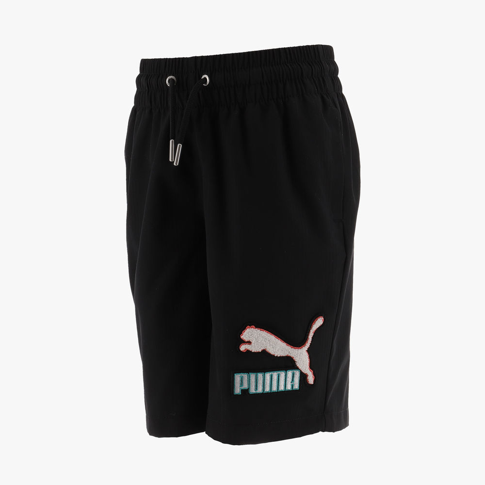 Puma Fandom