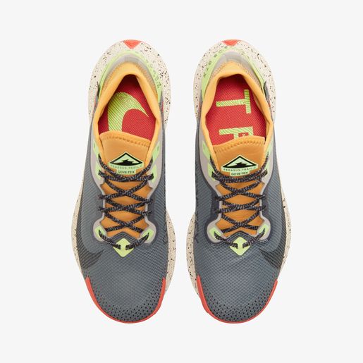 Nike Pegasus Trail 2 GORE-TEX