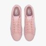 Puma Up