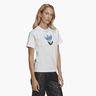 adidas Always Original Graphic