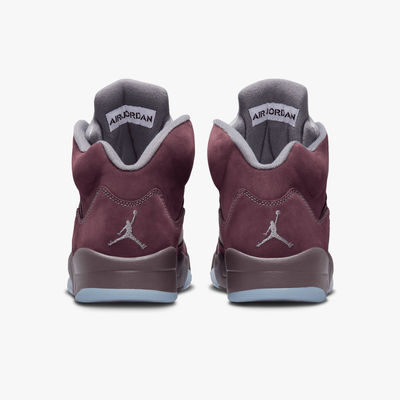 Air Jordan 5 Retro SE