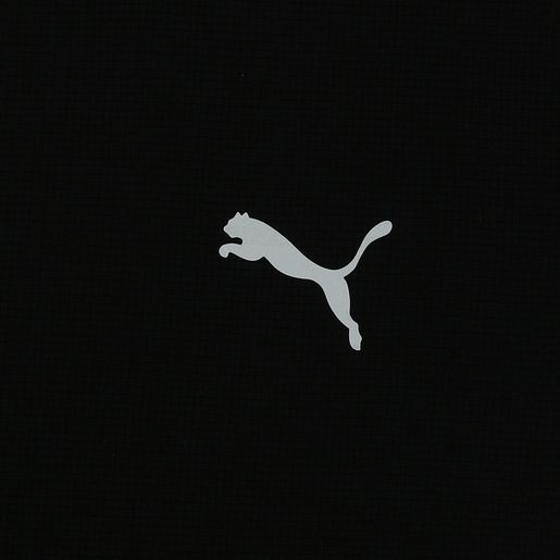 Puma Run Favourite