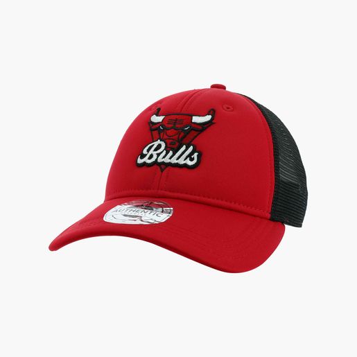 NBA Bulls