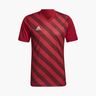 adidas Entrada 22 Graphic