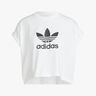 adidas Adicolor Classics Trefoil