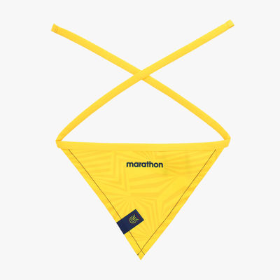 Bandana FEF Mundial 2026