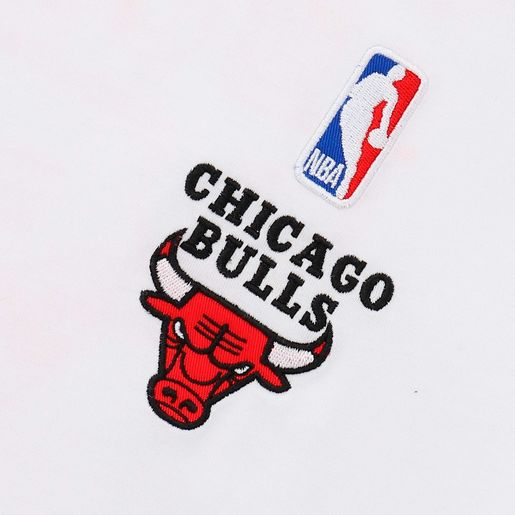 NBA Chicago Bulls