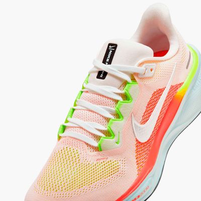 Nike Pegasus 41