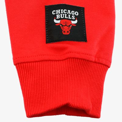 NBA Casaca Bulls