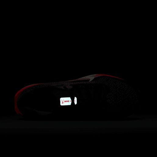 Nike Winflo 11