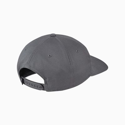 Nike SB Skate Hat