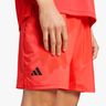 adidas Tenis Club