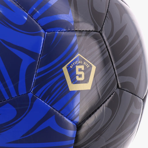 Pelota IDV 2026