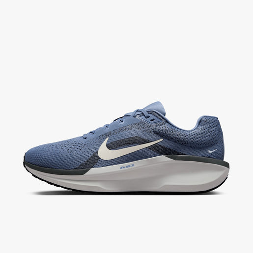 Nike Zapatillas Winflo 11