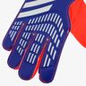adidas Predator Training