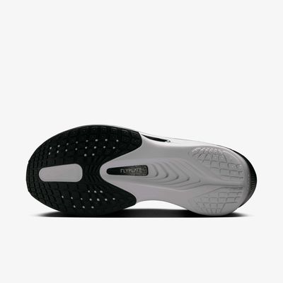 Nike Zoom Fly 6