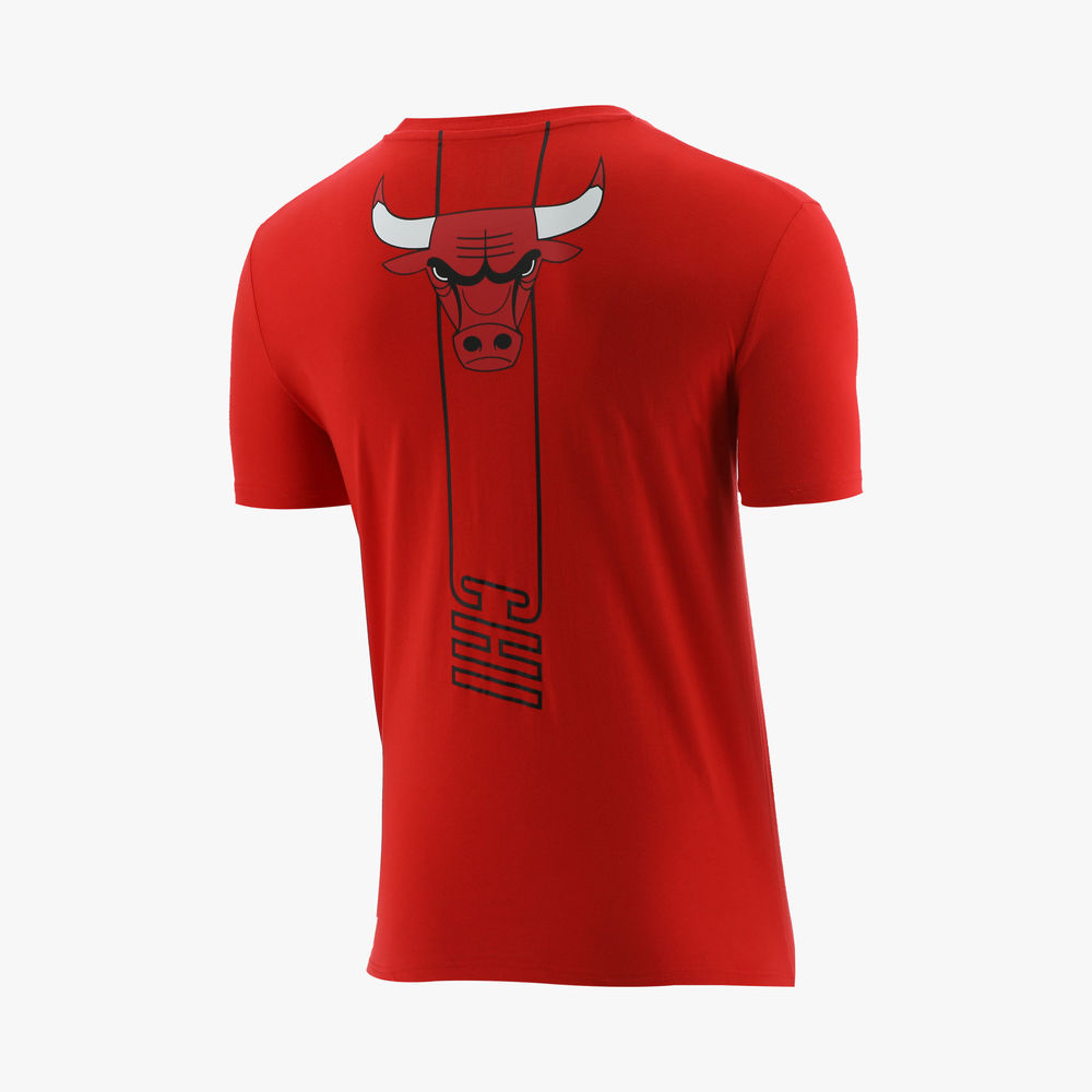 NBA City Name Outlined Bulls