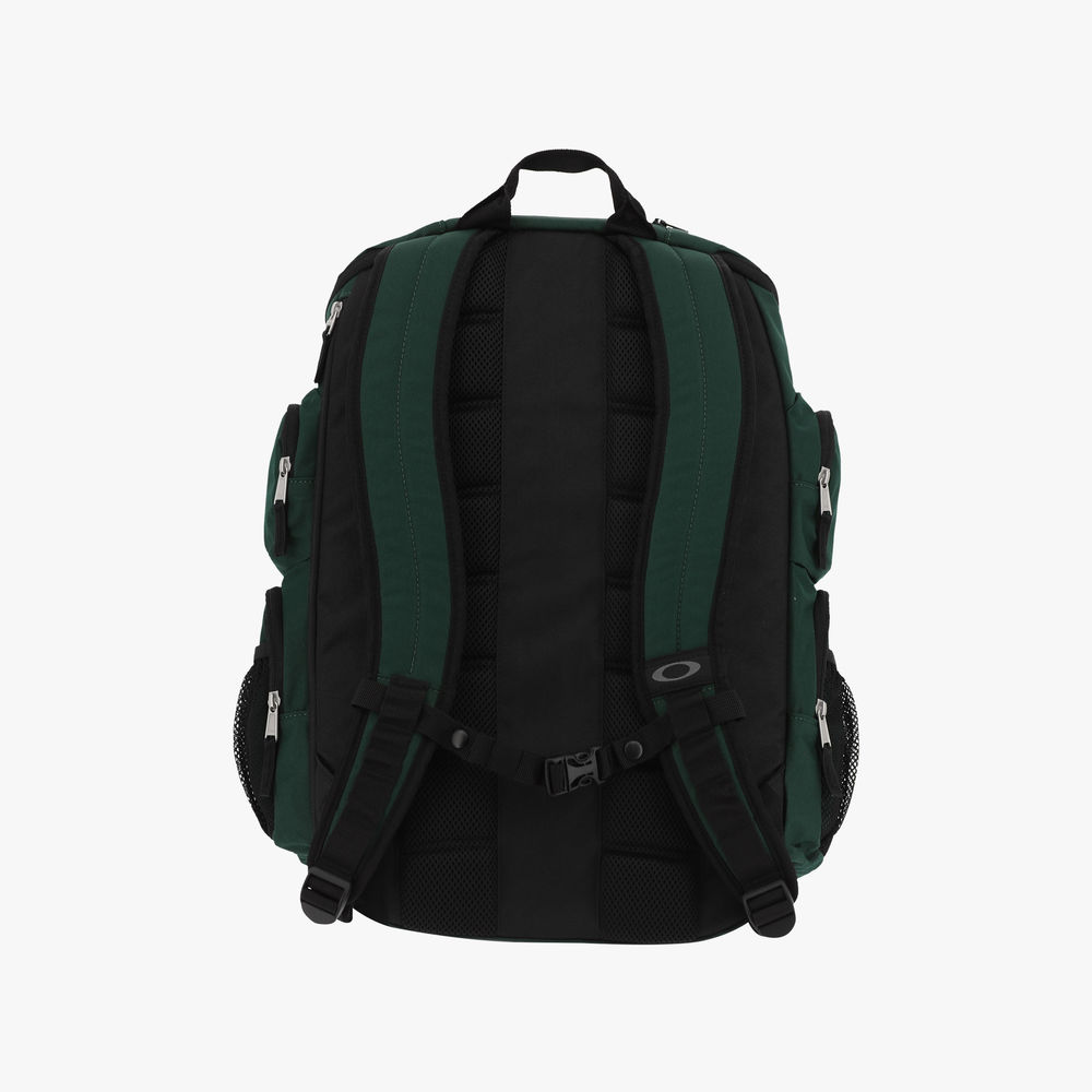 Oakley Enduro 30L 2.0