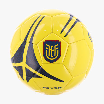 FEF Pelota Mundial 2026