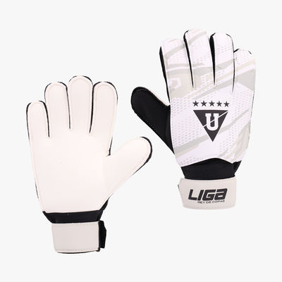 LDU Gorra 2026