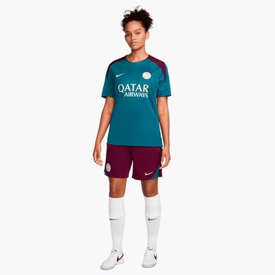 Nike Paris Saint-Germain Strike