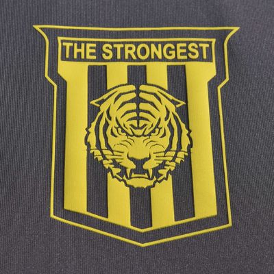 The Strongest Chompa Entrenamiento Gris