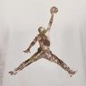Jordan Camiseta Brooklyn