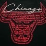 NBA Chicago Bulls