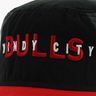 NBA Gorro Chicago Bulls