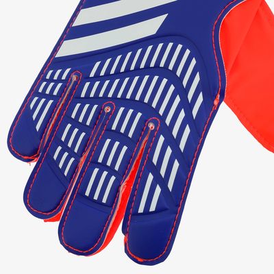 adidas Predator Training