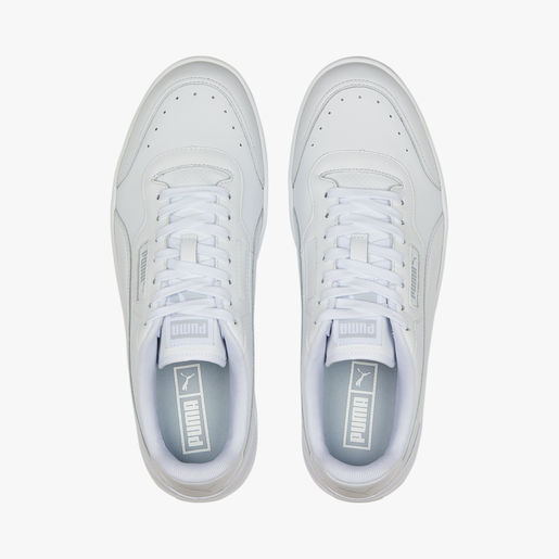 Puma Court Guard