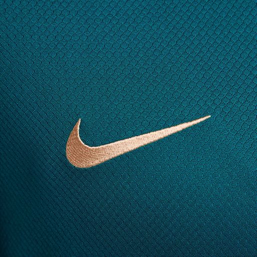 Nike Paris Saint-Germain Strike