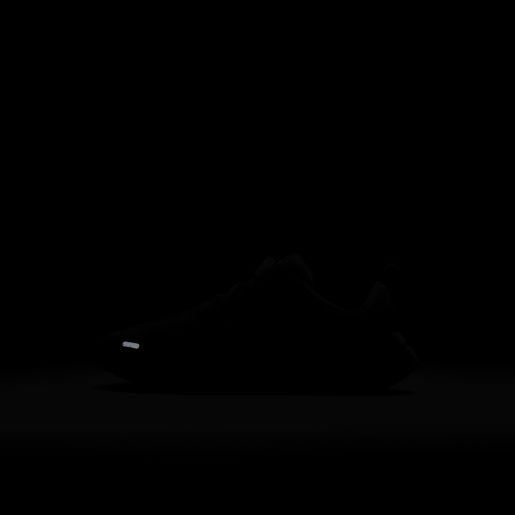 Nike Downshifter 12