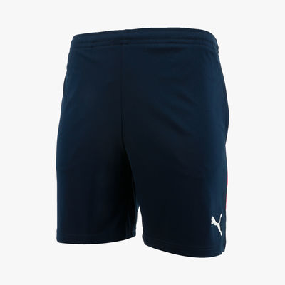 Puma Short individualLIGA