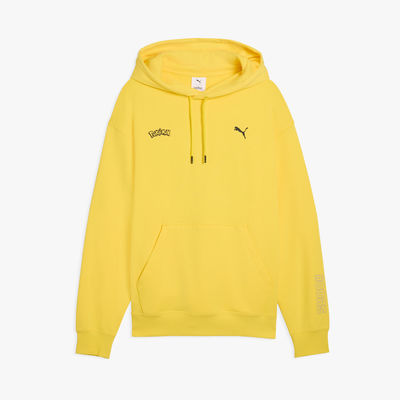 Puma Buzo Pokémon