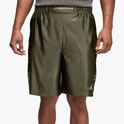 Jordan Short Brooklyn Cat Scratch