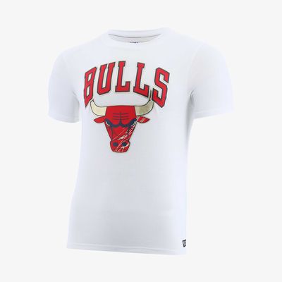 NBA Chicago Bulls
