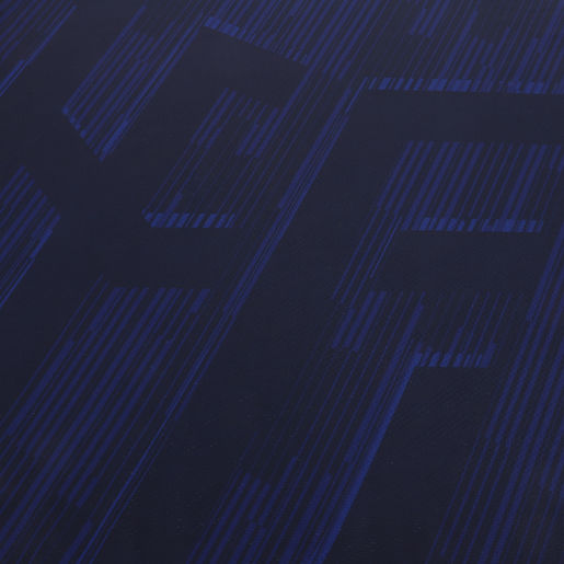 Marathon Sports Camiseta Alterna 2 Copa América FE