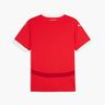 Puma Austria Réplica Home 2024