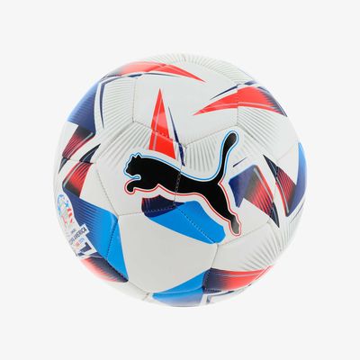 Puma Cumbre Conmebol Copa América