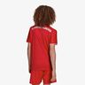adidas FC Bayern Home