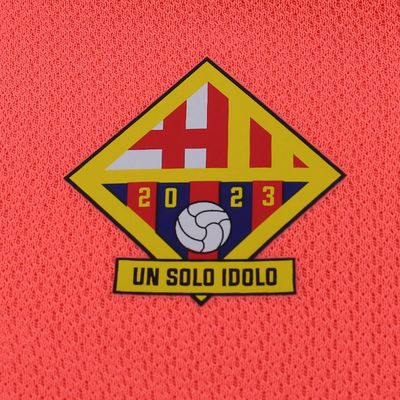 Camiseta Alterna 1 BSC Marathon 2023