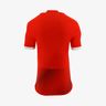 adidas Camiseta Niño Alterna Perú 2023