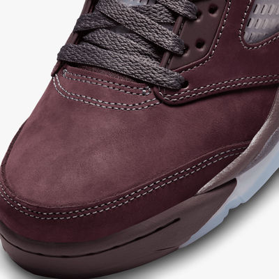 Air Jordan 5 Retro SE