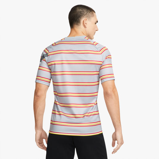 Nike Liverpool FC Dri-FIT Pre-Match